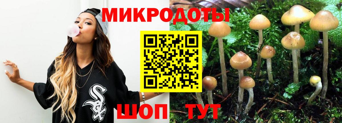 Мирный  Псилоцибиновые грибы Magic Shrooms  Вход с VPN 